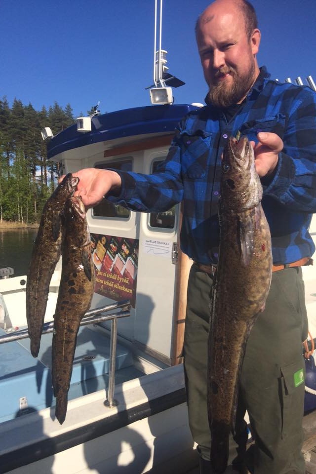 Fishing Lake Saimaa